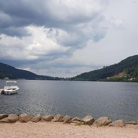 Gerardmer La Villa De Corcieux Экстерьер фото