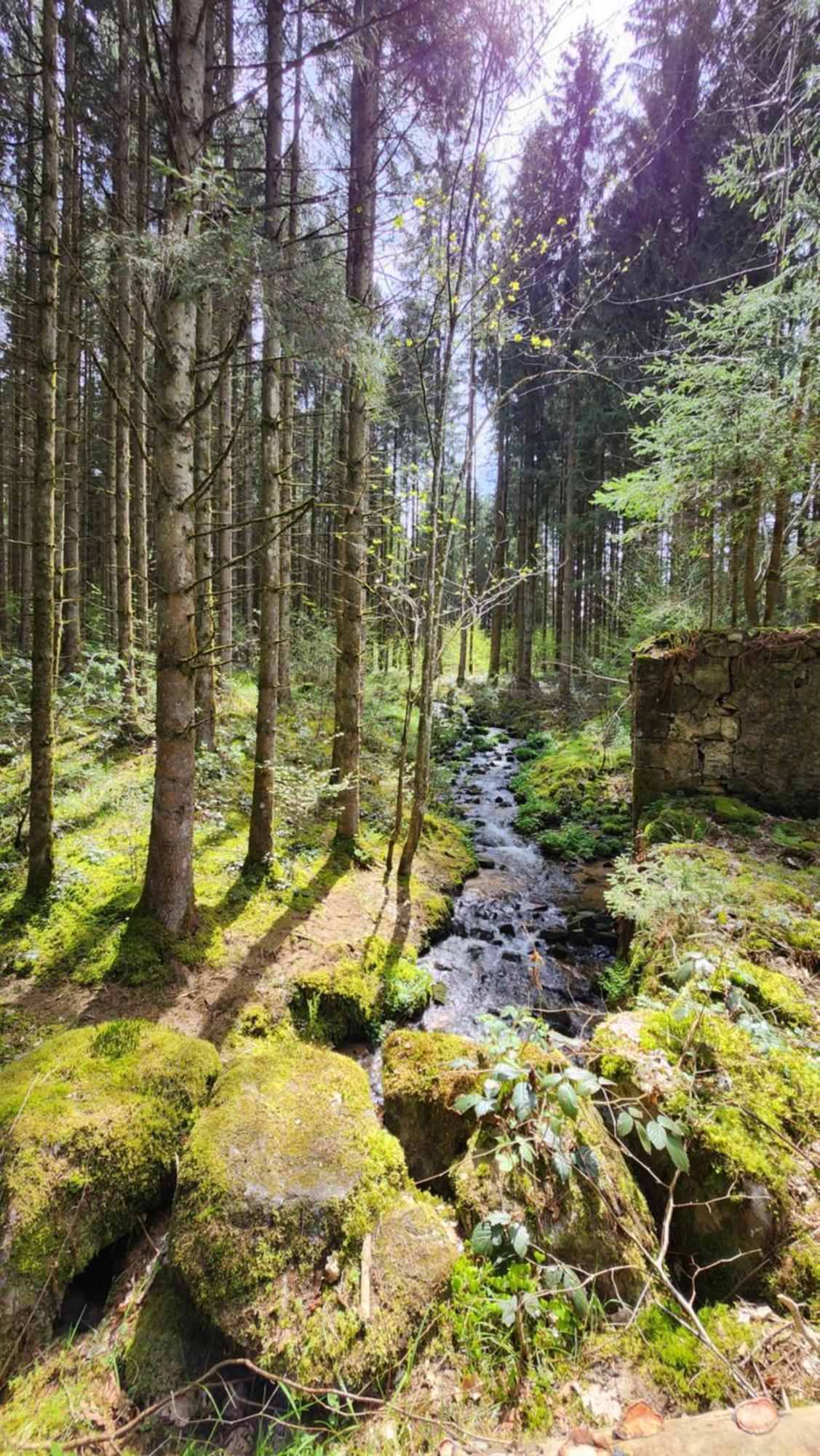 Gerardmer La Villa De Corcieux Экстерьер фото