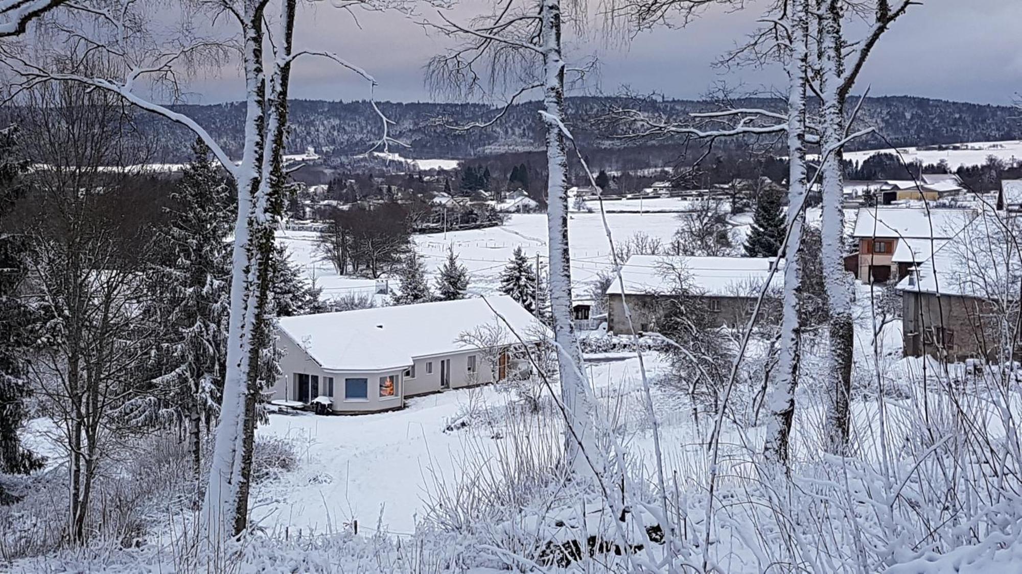 Gerardmer La Villa De Corcieux Экстерьер фото
