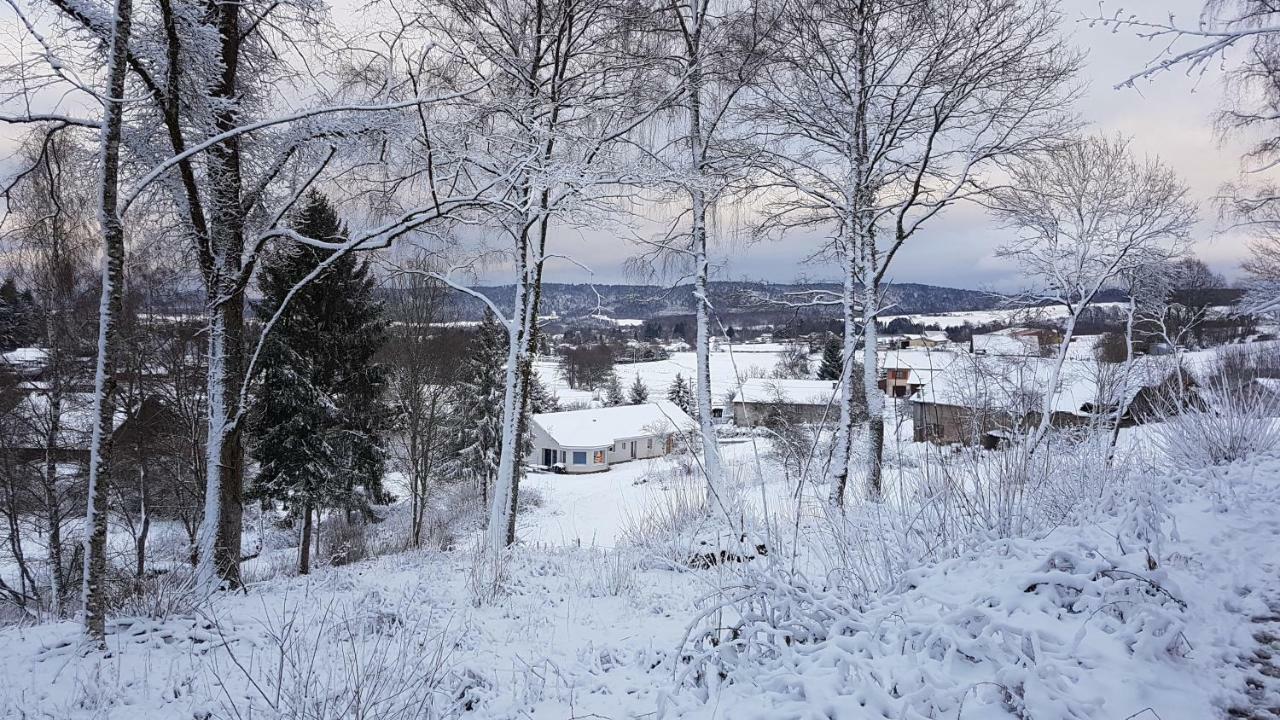 Gerardmer La Villa De Corcieux Экстерьер фото
